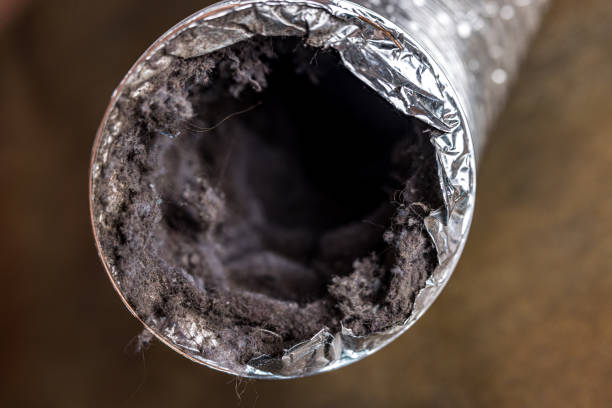 Best Home Air Vent Cleaning  in Devola, OH