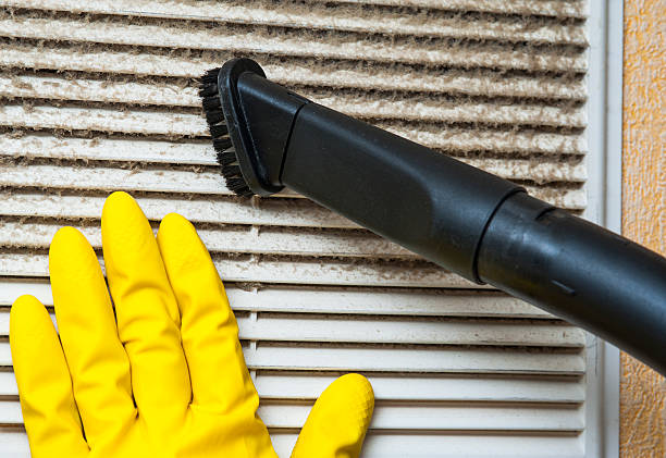 Best Air Duct Mold Removal  in Devola, OH